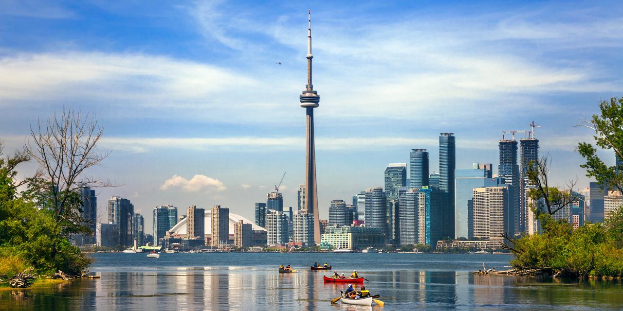 MBBS in Canada toronto apex
